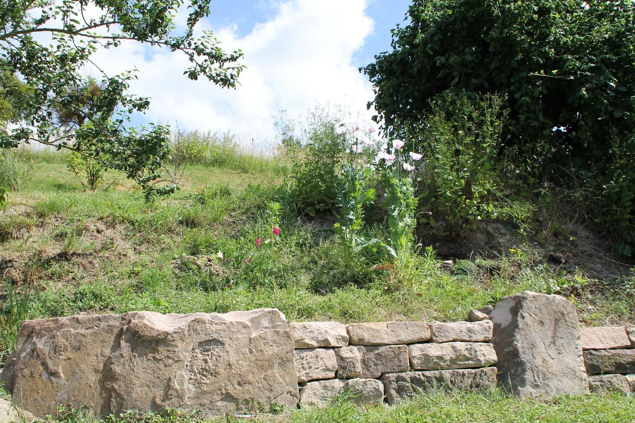 Hainhof Gaestewohnungen Bad Konig Bagian luar foto