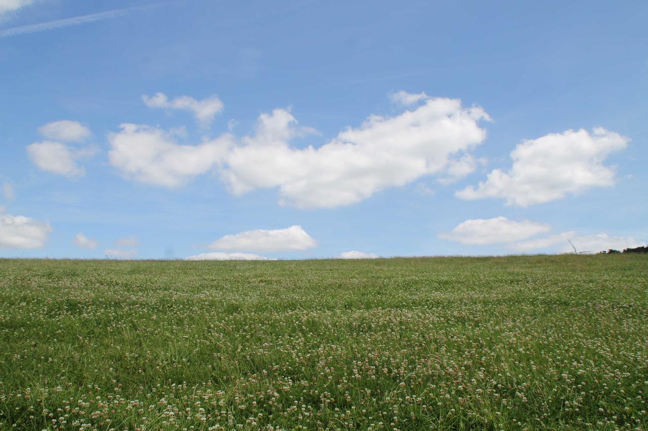 Hainhof Gaestewohnungen Bad Konig Bagian luar foto